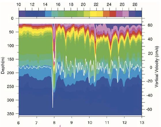 Temp profile 1